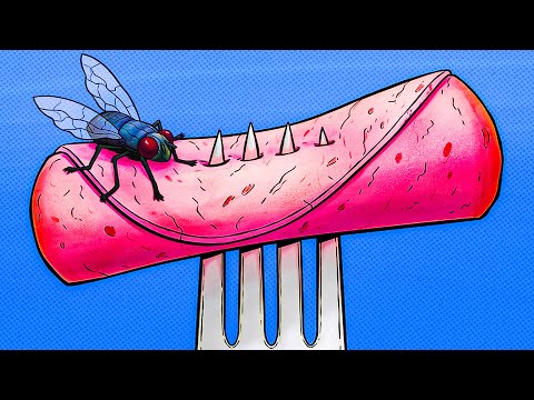 download lagu mp3 mp4 Why Do Flies Like To Land On You, download lagu Why Do Flies Like To Land On You gratis, unduh video klip Why Do Flies Like To Land On You