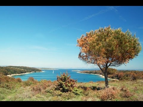 Rt. Kamenjak Premantura Istra Croatia