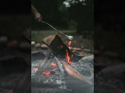 Qurd 🐺 & Aysun 💃- Avara sevgi💕