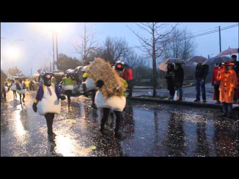 Zuzucas carnaval ovar 2014