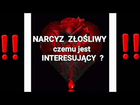 NARCYZ ZŁOŚLIWY czemu jest INTERESUJĄCY  ?