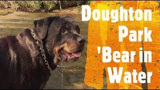 Scenic Waters Near Doughton Park on Jurgen's Journeys