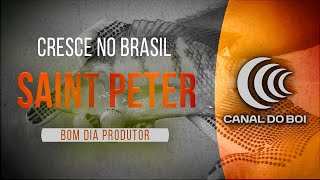 Miniatura do vídeo