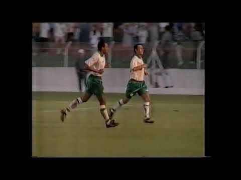 XV de Jaú 2 x 0 Santos - Campeonato Paulista 1996