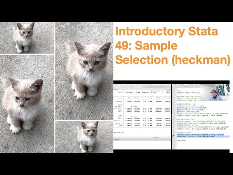 Introductory Stata 49: Sample Selection (Heckman)