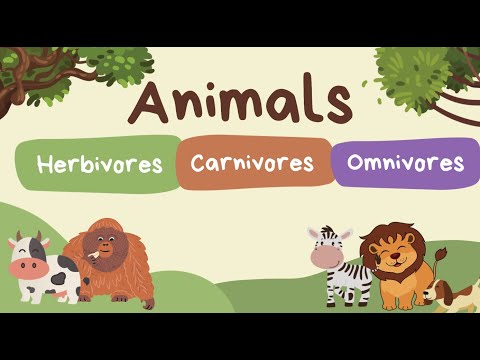 Animals - herbivore, carnivore, and omnivores quiz.