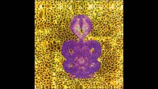 Bardo Pond - Be a Fish