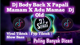 Download lagu Dj Body Back X Papali Mamam X Adu Mamae   Dj Old Viral Tiktok Terbaru mp3