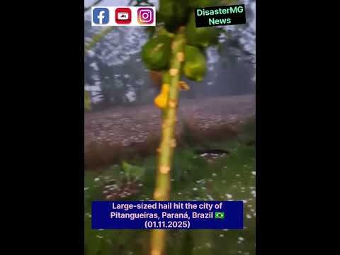 Incredible Hailstorm in Pitangueiras, Paraná — Look at the Size of That Ice! 🧊#Pitangueiras #Parana