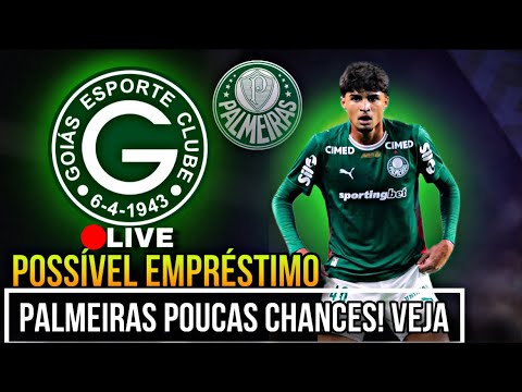 💚🔥 MEIA PODE SER EMPRESTADO AO GOIÁS NA SÉRIE B?