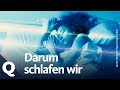 Mehr als lebenswichtig: Darum schlafen wir! | Quarks