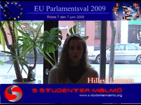 Hillevi Larsson om sina prioriterade frågor