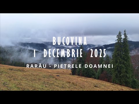 Puțină iarnă de 1 Decembrie 2025 ❄❄❄ Munții Rarău