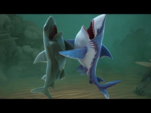 Reef Shark & Porbeagle Shark Funny Shorts Compilation - Hungry Shark World