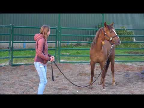 TAG 3173 - Ankunft bei Yvet Blokesch
