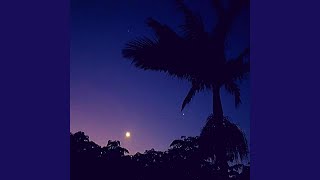 Cover art for ♫*iridESCEnT✯“>