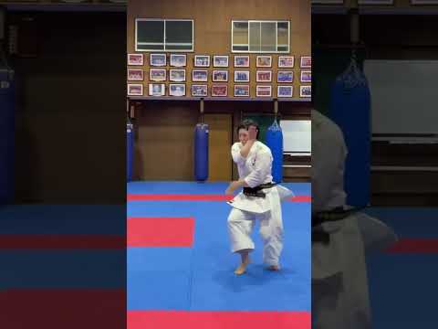 kata Ono Maho 👌❤️‍🔥🥋🇯🇵 #karate #karateh #kata #taekwondo #martialarts #like #judo #japan #china