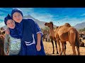 Camel Riding Adventure In Moroccan Desert Educational Videos For Kids Animals For Kids