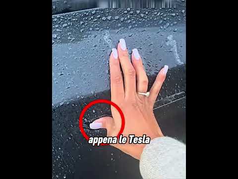 Spiegazione del problema delle maniglie delle portiere Tesla congelate 🥶