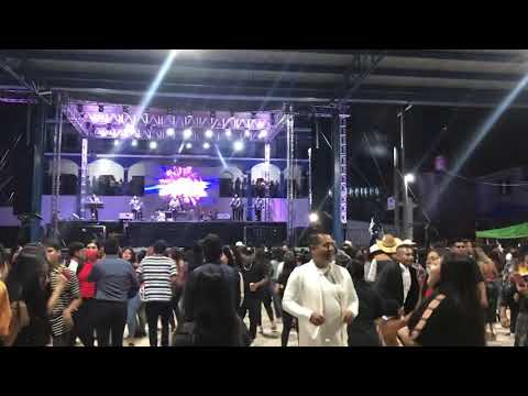 Son De Goku / Los Rayos de Oaxaca En San Juan Bautista Tlachichilco 2021