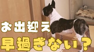 2分前から待ってるフレブル