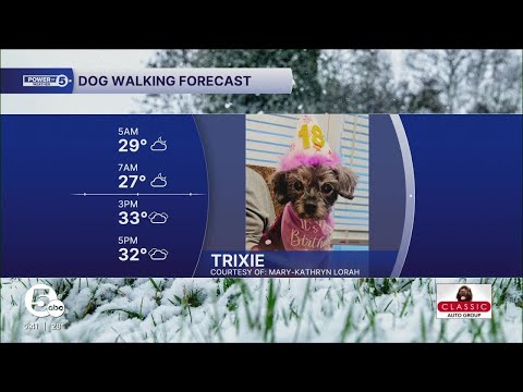 Meet Trixie! - YouTube