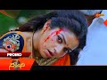 Nandini Promo 23 Oct 2025 Telugu Serial Gemini TV