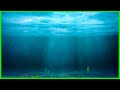 Background Loop Magical Underwater Ocean Light Rays Animated Background Video No Copyright