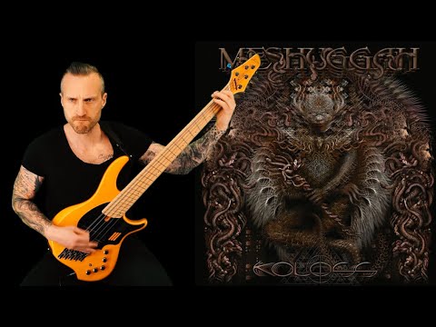 Thumbnail for MESHUGGAH // Demiurge // bass cover by Tao