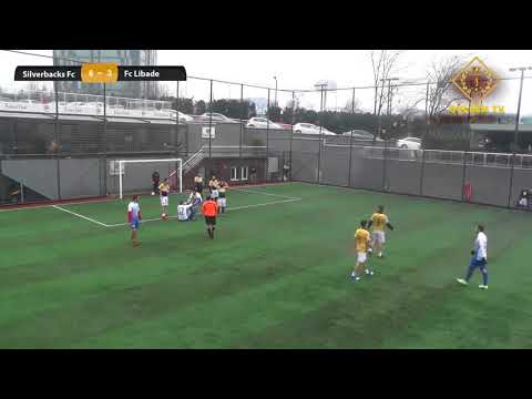 Gol Videosu