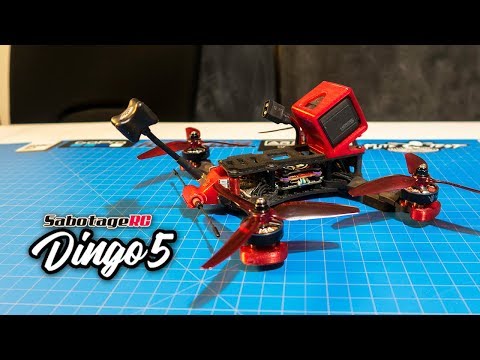 download lagu mp3 mp4 Dingo 5 Frame, download lagu Dingo 5 Frame gratis, unduh video klip Dingo 5 Frame
