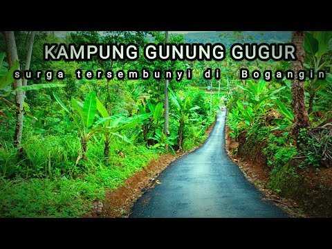 INILAH KAMPUNG DI TENGAH PERSAWAHAN DESA BOGANGIN YANG INDAH