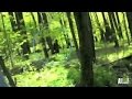 Best of Bigfootage | Finding Bigfoot