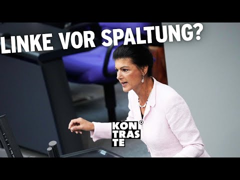 An der 5-Prozent-Hürde gescheitert | Kontraste Politikmagazin