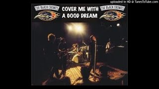 THE BLACK CROWES - rainy day women #12 & 35 (bob dylan) '91
