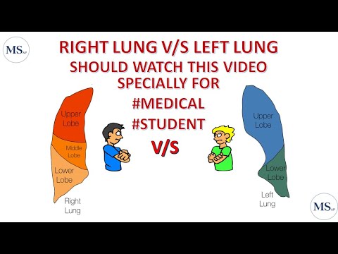 RIGHT LUNG V/S LEFT LUNG
