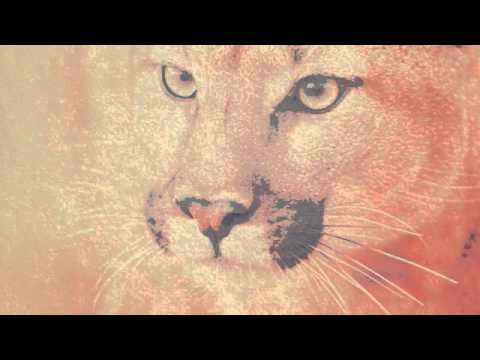 Deaf Pillow - Numbers (Original)