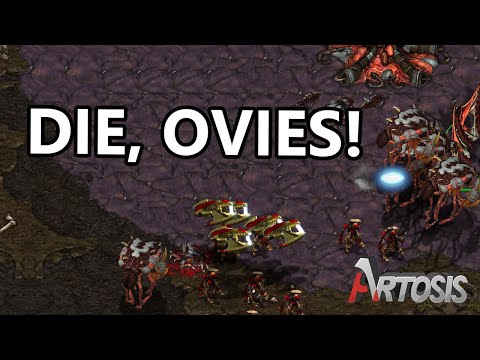 Perfect Protoss vs Aggro Zerg - Best vs. Miso G1