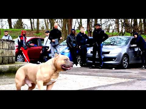 Mk Freestyle Goudron #1