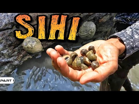 P1-Pangunguha ng Sihi - EP1012