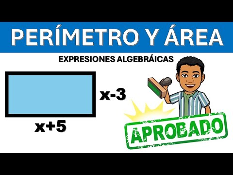 PERIMETRO Y AREA DE UN RECTANGULO CON EXPRESIONES ALGEBRAICAS - Super facil