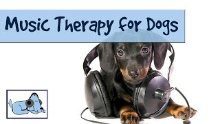 Music Therapy for Dogs - Music to Calm your Puppy and Reduce Anxiety