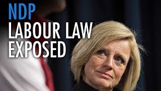 Alberta NDP, unions craft labour laws in secret