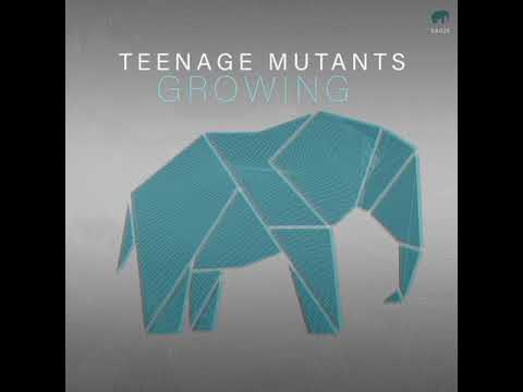Heerhorst, Teenage Mutants - Python (Original Mix)
