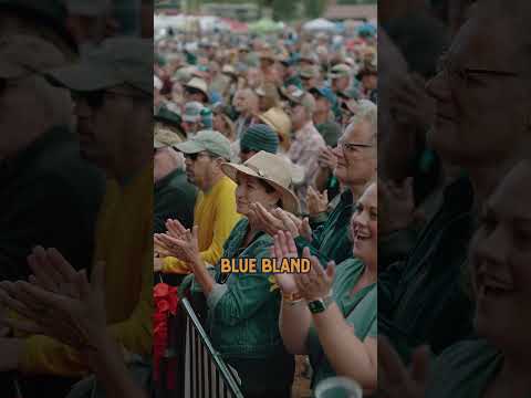 Thumbnail for Interview with Marc Broussard at the Telluride Blues & Brews Festival by Marc Broussard