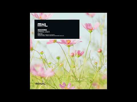 Dave Shtorn - Kinetica