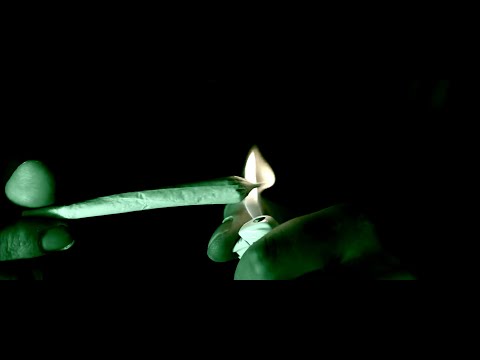 GRAMOL - SPIZGANE ZIOMKI (aVe blend)