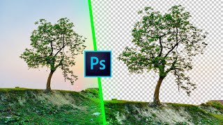 Photoshop Remove Background // Channel Mask Crop Object (How to Photoshop)