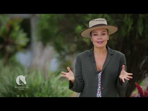 Cavalos Crioulos: Agro Santa Fé