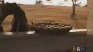 Alison Krauss-Gillian Welch - I&#39;ll Fly Away